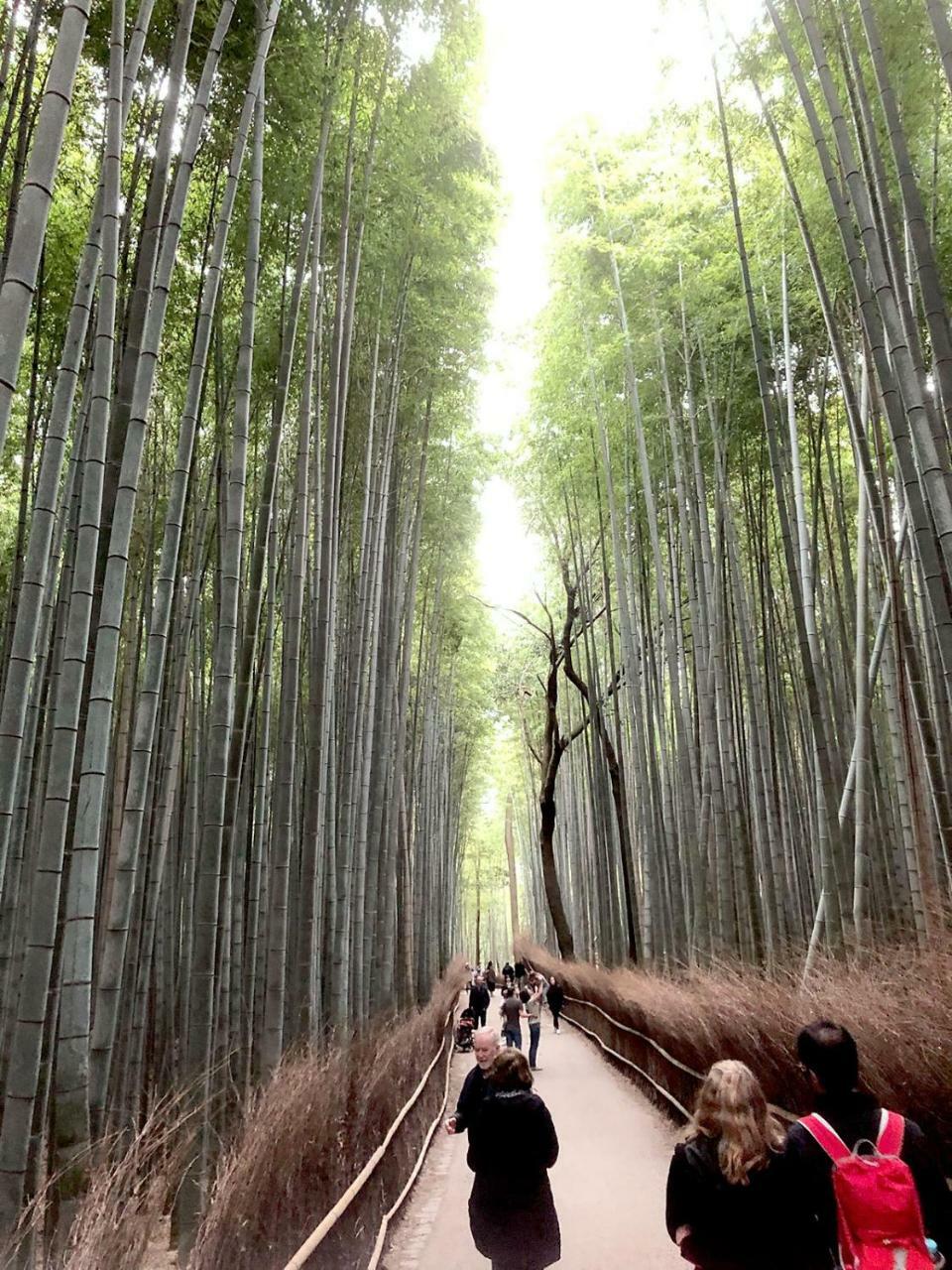 Hostel Kyoto Arashiyama Muko Buitenkant foto
